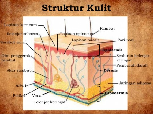 Penyakit Kulit Tak Bisa Diremehkan, RS Islam Yogyakarta PDHI Tambah Dokter Spesialis Kulit dan Kelamin