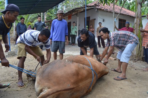 Momen Idul Adha, Ajang Berbagi Bagi RS Islam Yogyakarta PDHI
