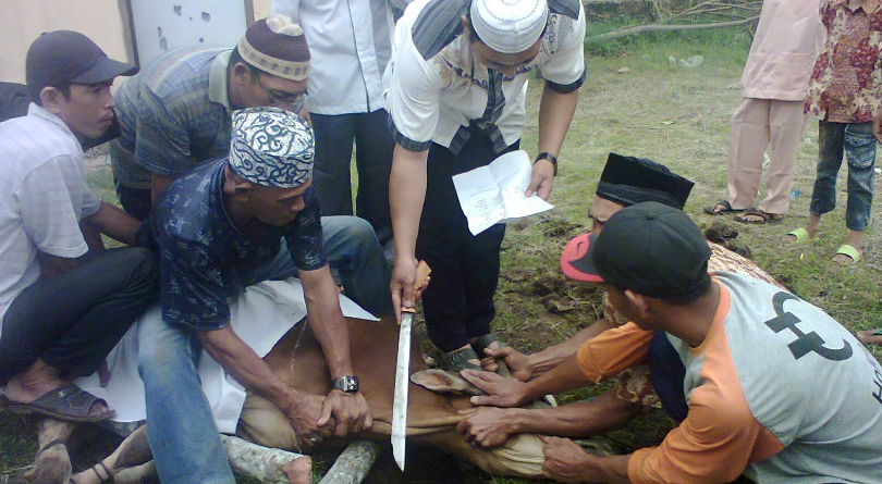 Jika Disembelih Secara Syar’i, Daging Tidak Cepat Busuk
